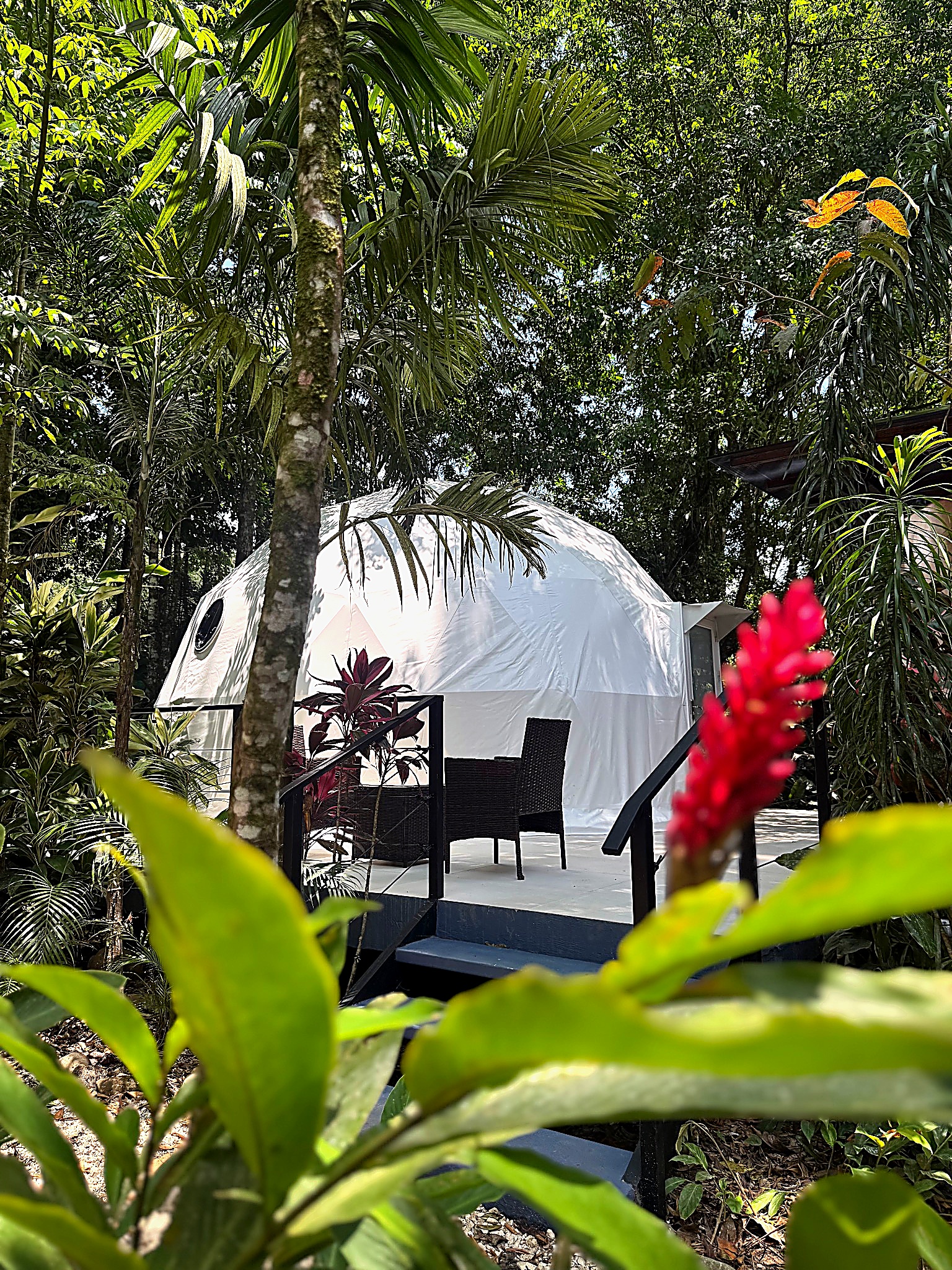 Geodesic glamping dome framed by rainforest and red ginger flowers.